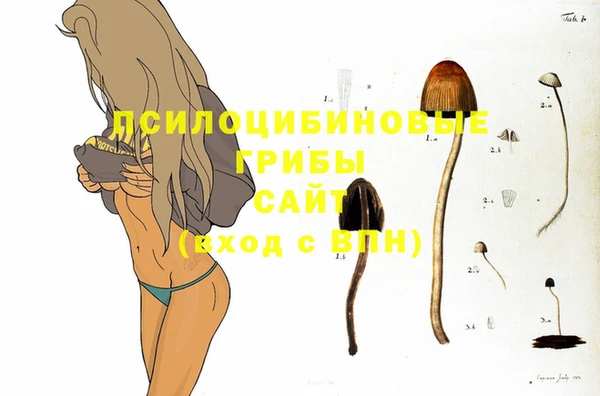 соль ск Алексин