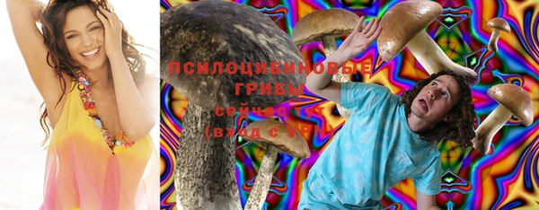 герыч Алзамай