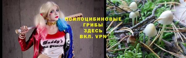 герыч Алзамай
